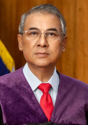 Chief Justice Alexader G. Gesmundo.jpg