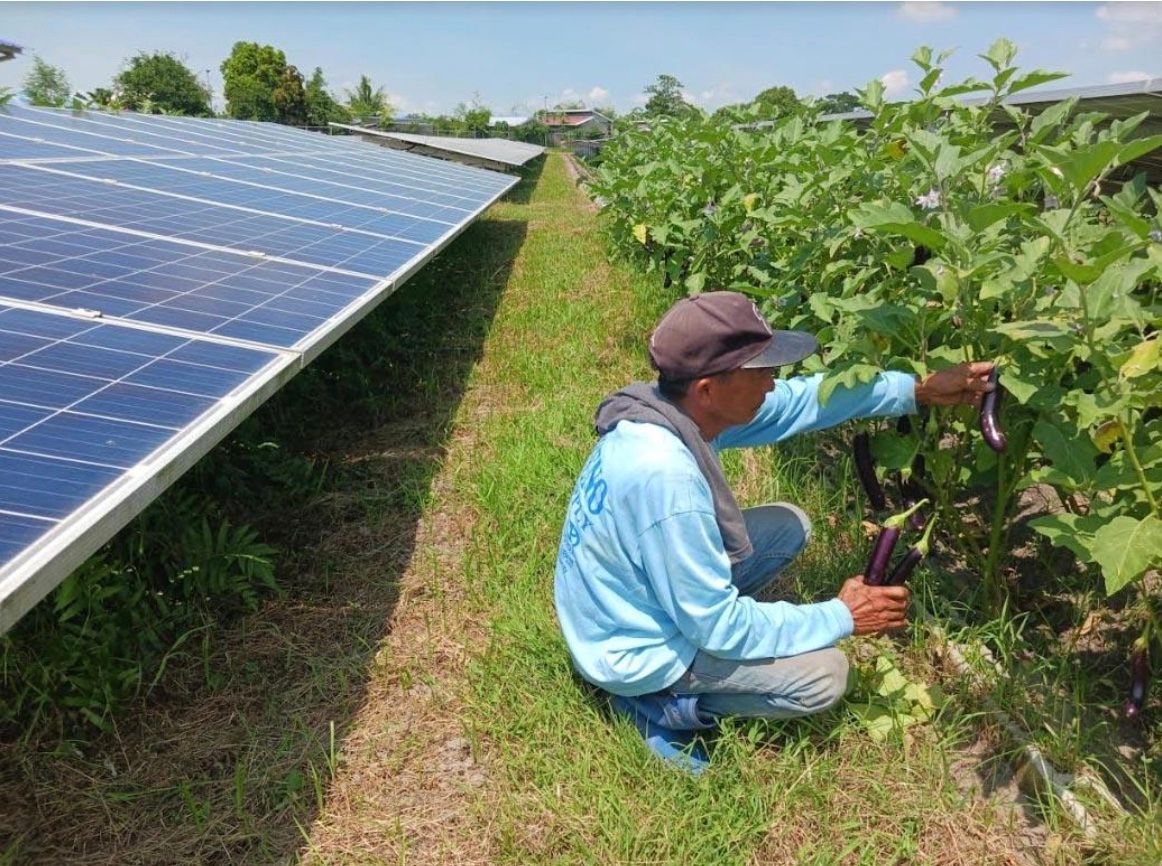 Citicore Agrosolar.jpg