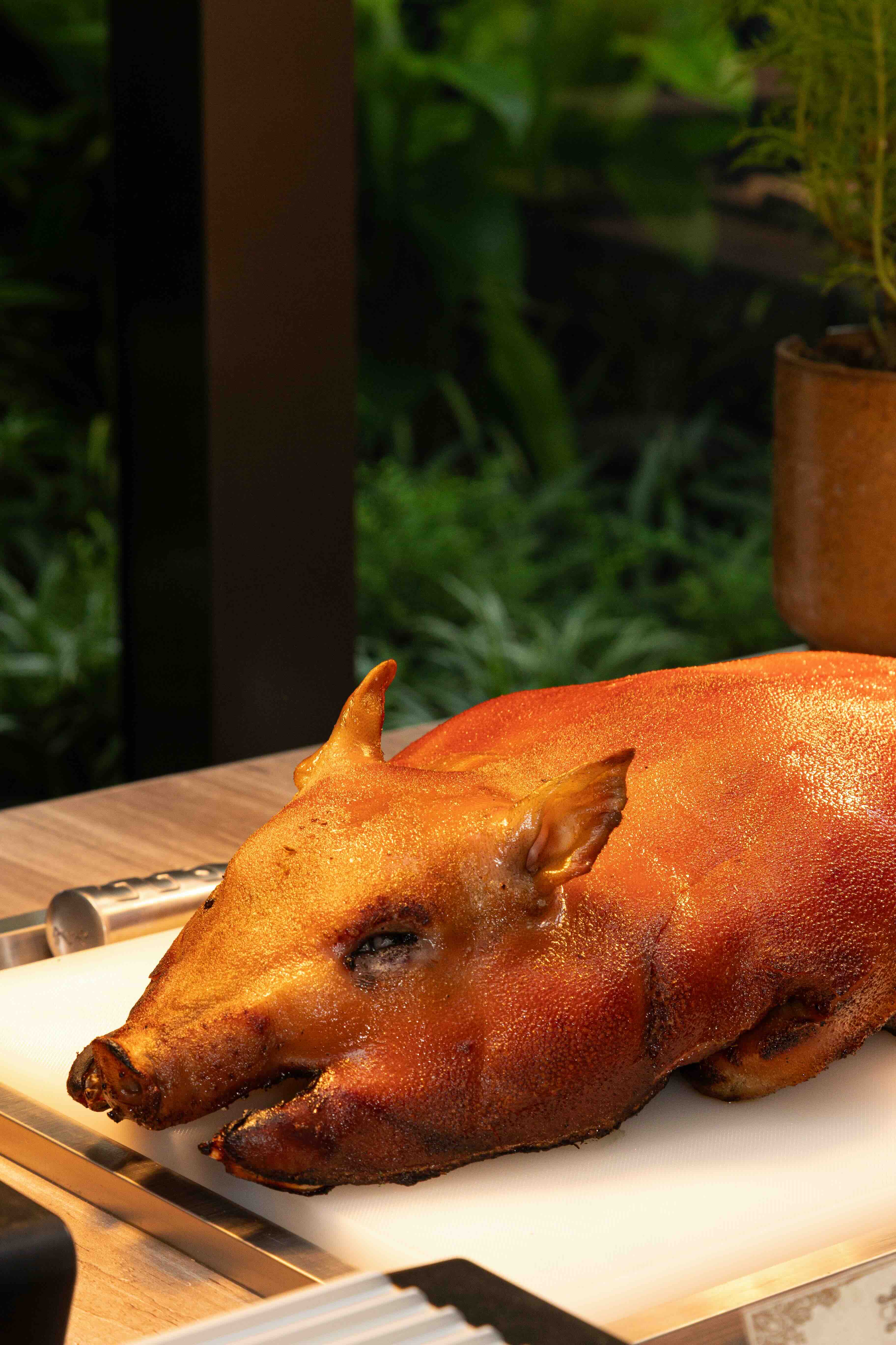 Cochinillo de Buenas.jpeg