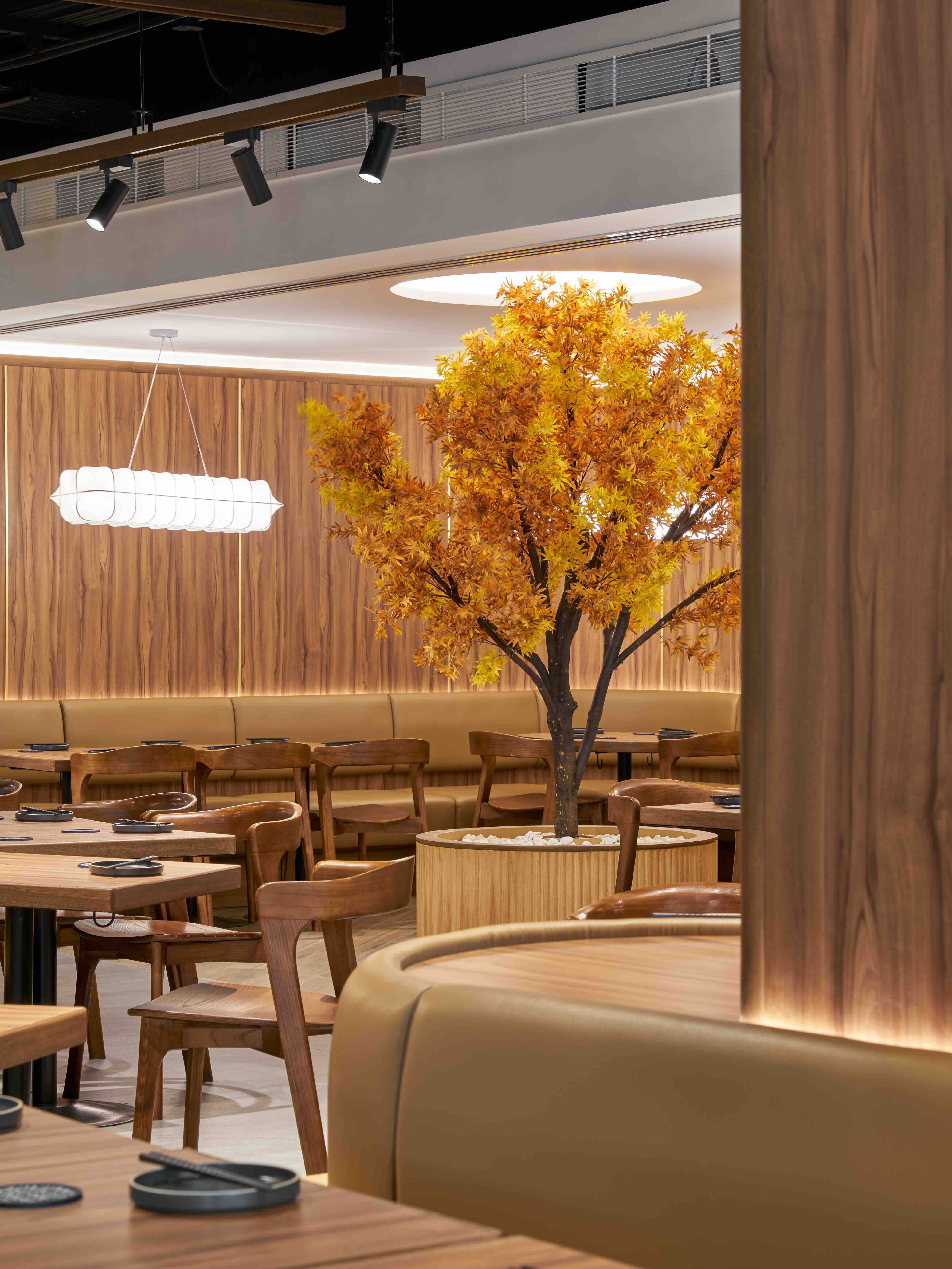 DEFT_KIWAMI_XU LIANG LEON_DSC02501.jpeg