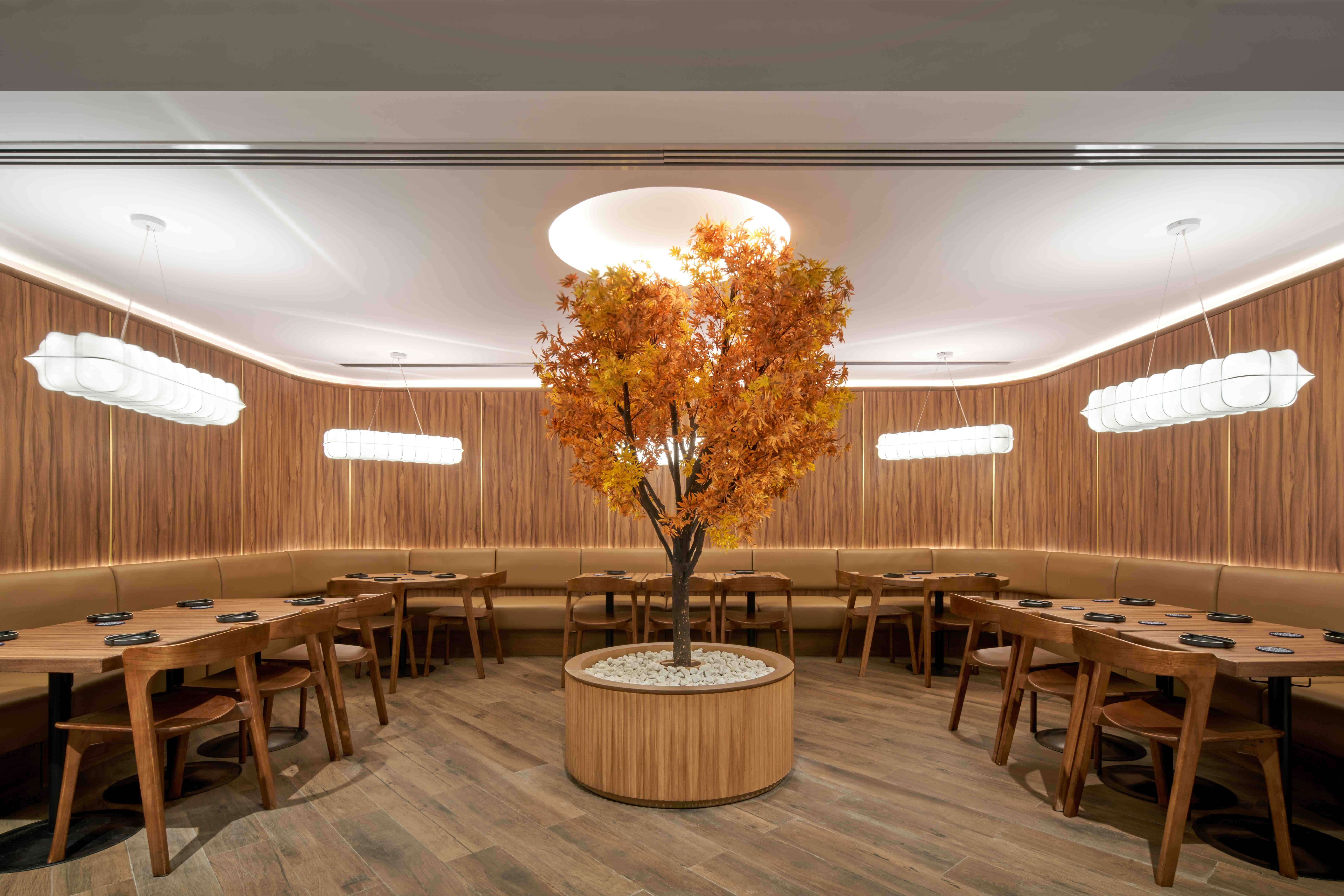 DEFT_KIWAMI_XU LIANG LEON_XL_01818.jpeg