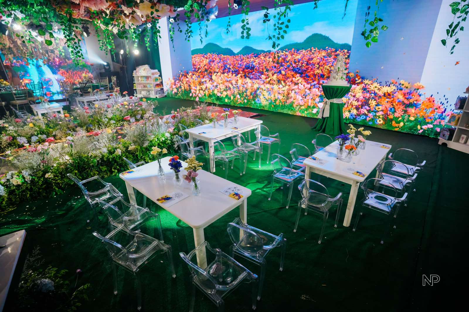 Denice - A visual wonderland.jpg