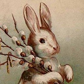 Easter_Bunny_Postcard_1907.jpg