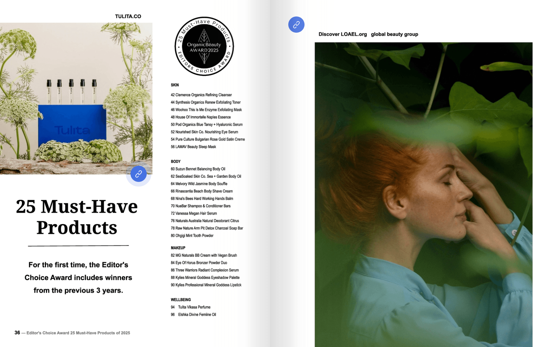 Editor's Choice Award.png