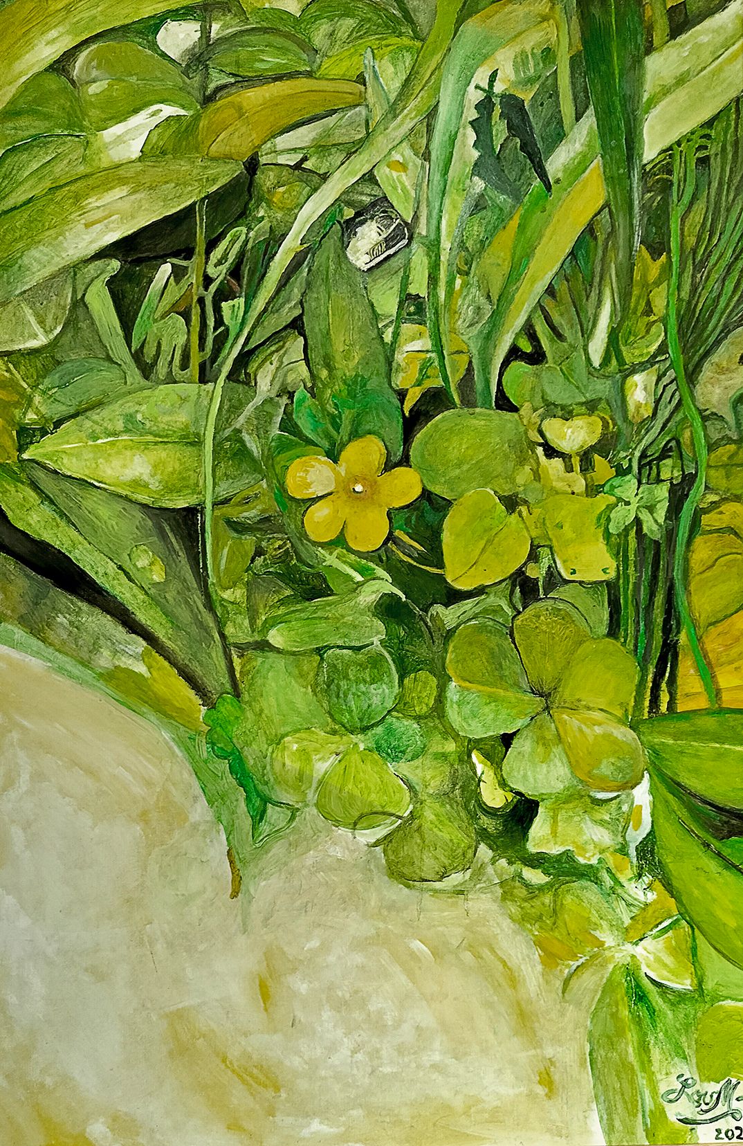 FORTUNE PLANT, oil on canvas, 36x24 inches, 2024.jpg