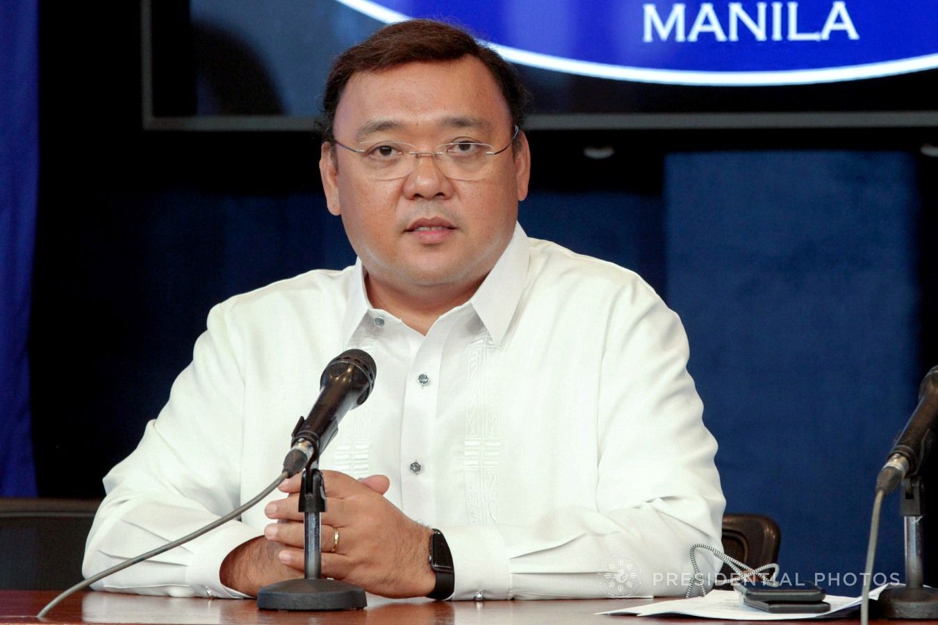 Harry Roque.jpg