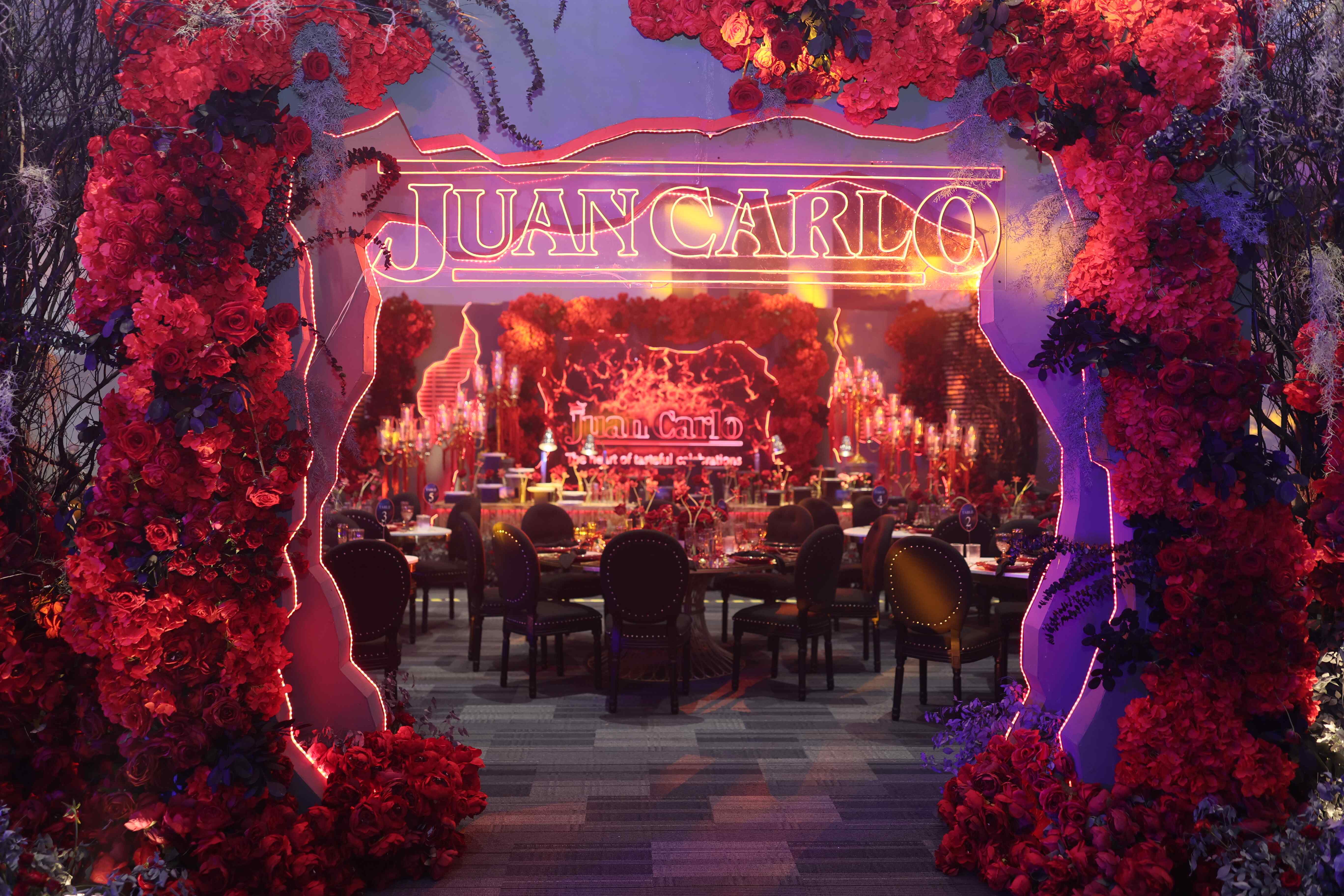 JUAN CARLO - STRANGER THINGS.jpg