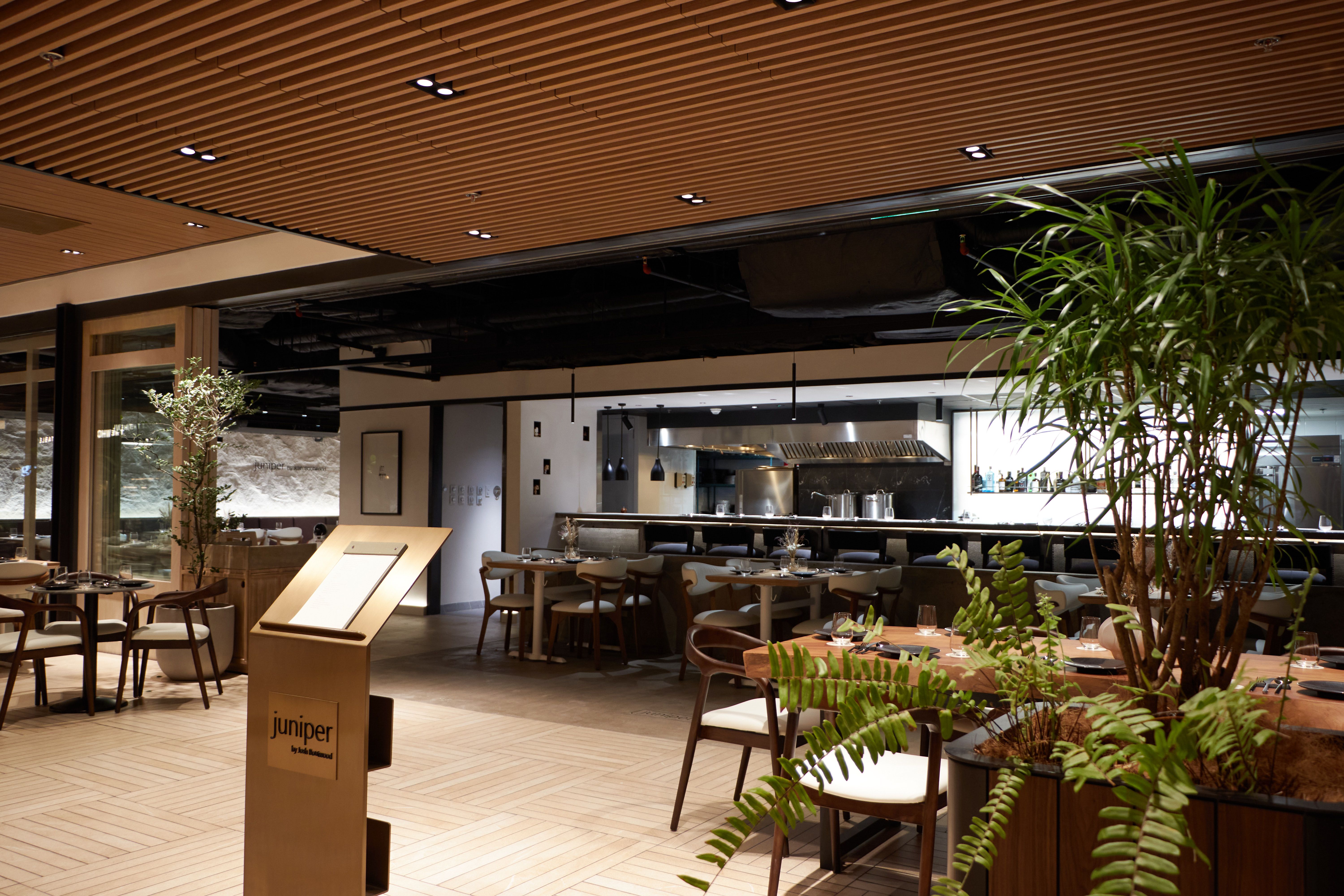 JUNIPER BLOOMS The interiors of Boutwoods newest creation.jpg