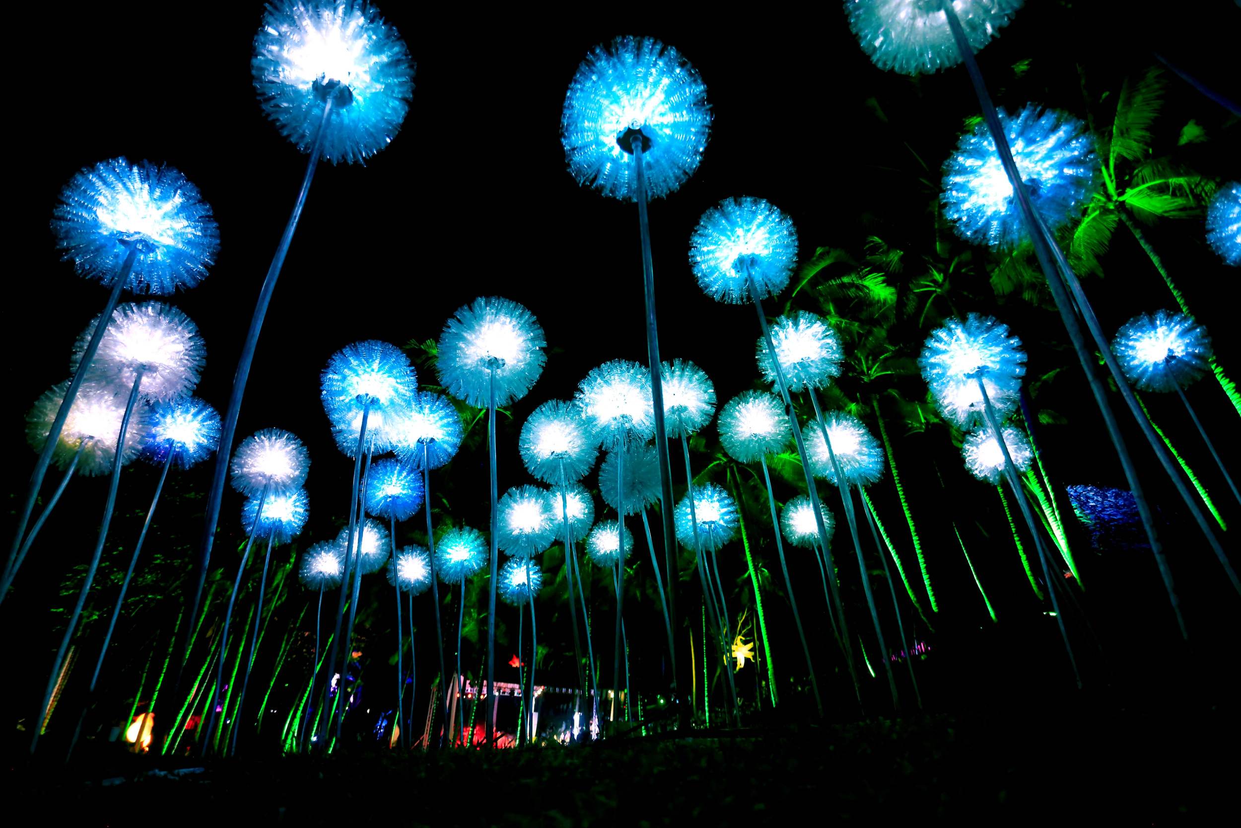 Malasimbo 2017_02.jpg