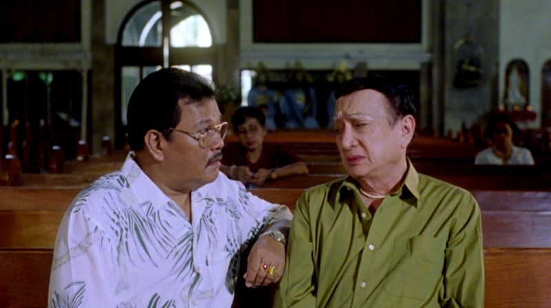 Markova Comfort Gay.jpg