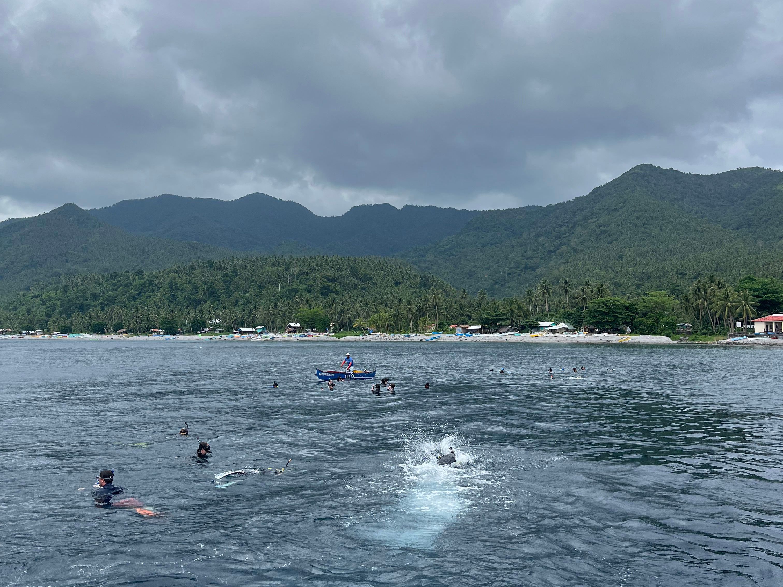 ON SIGHT Snorkelers following the butanding.jpg