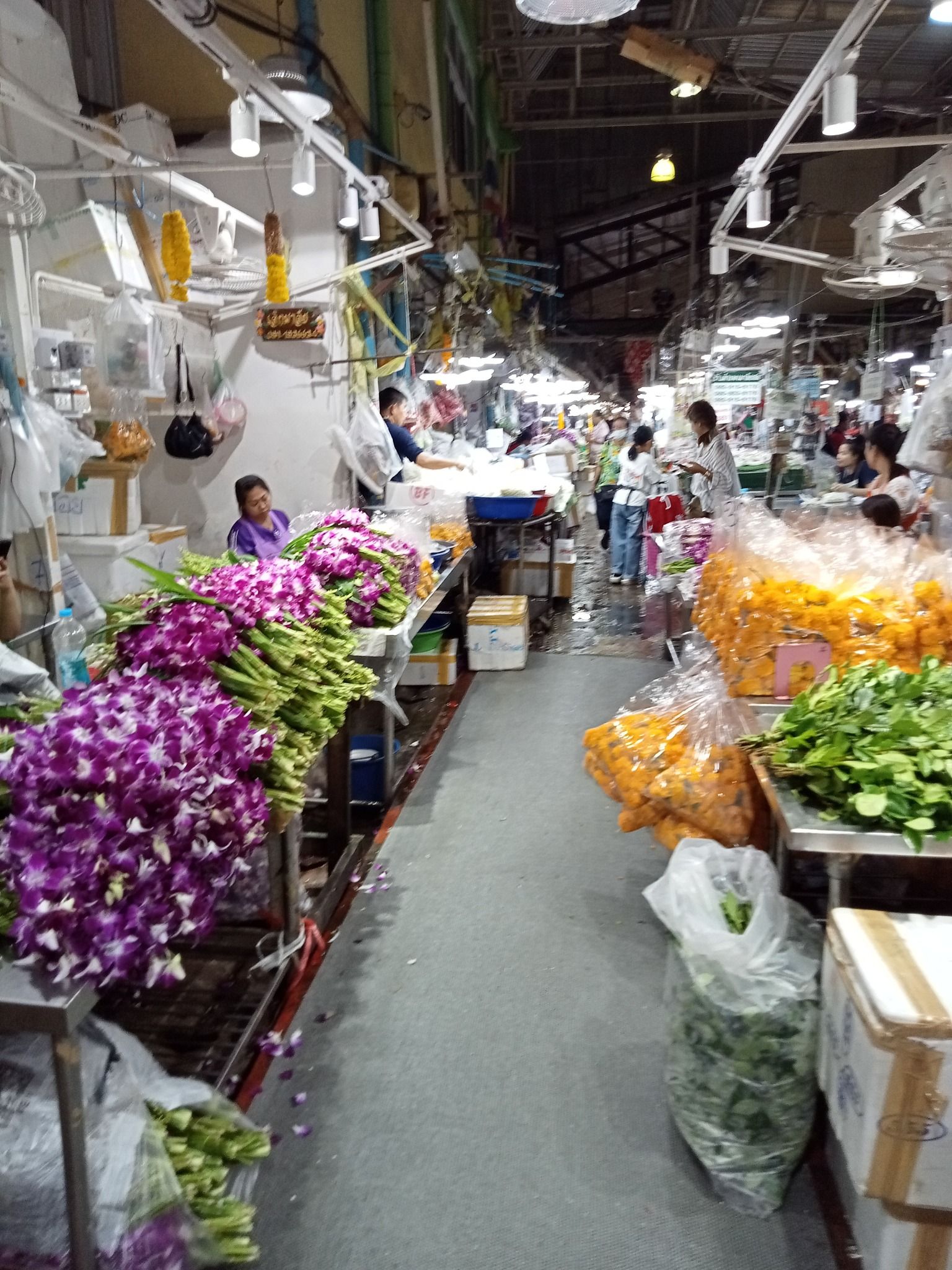 PAK KHLONG TALAT - Photo 2.jpg