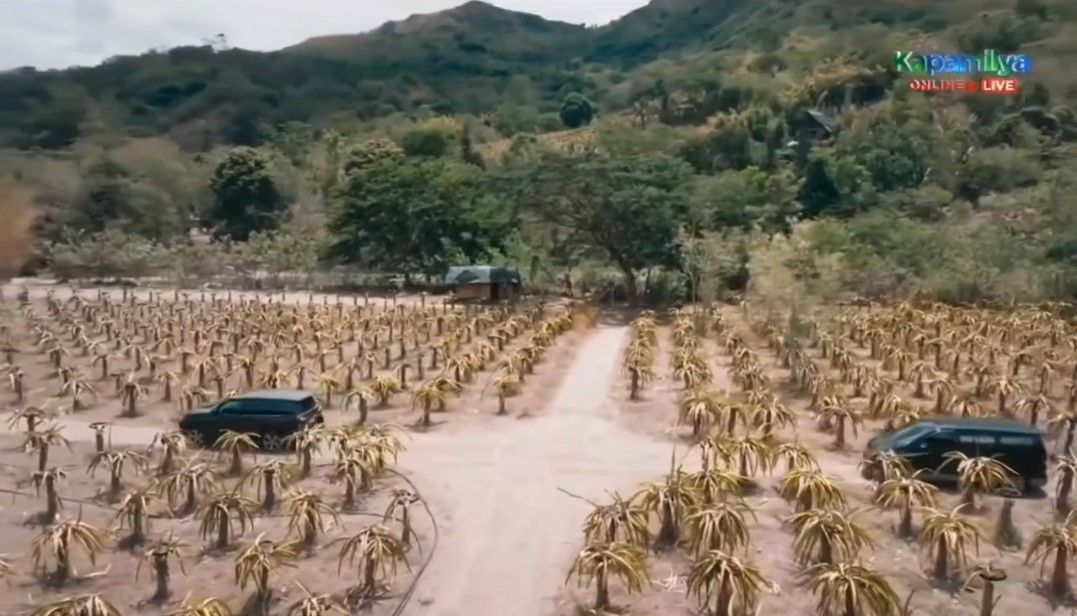 Palaya Batang Quaipo 2 Screen Grab.jpg