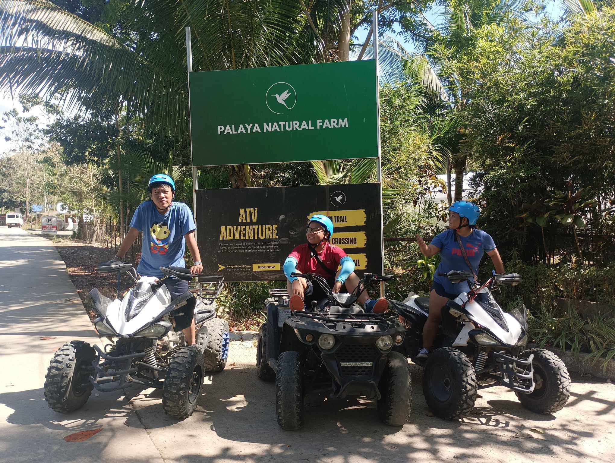 Palaya Natural Farm Entrance.jpg