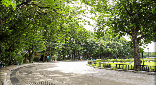 Photo from QC Government website.png