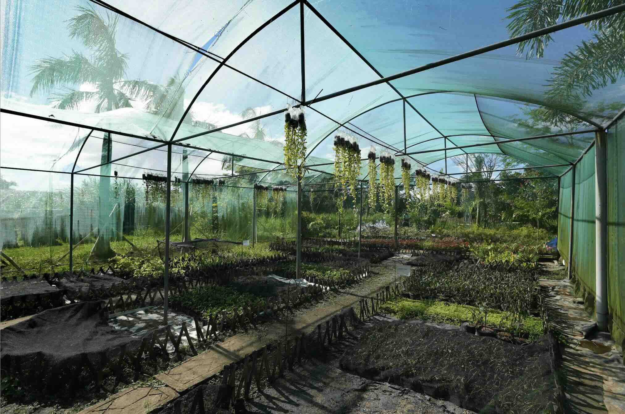 Plant Nursery-min.jpg