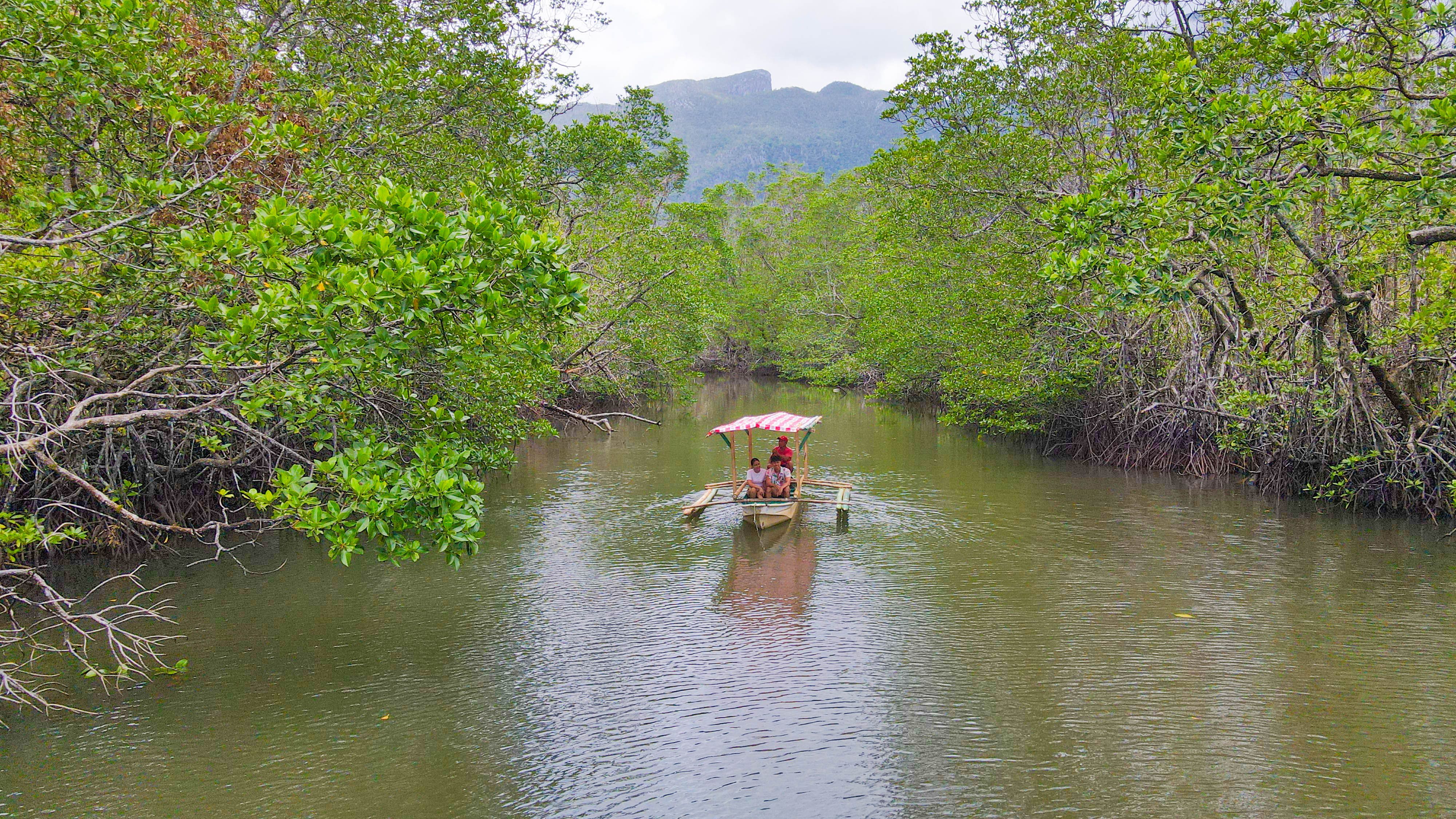 Sabang Mangrove.jpg