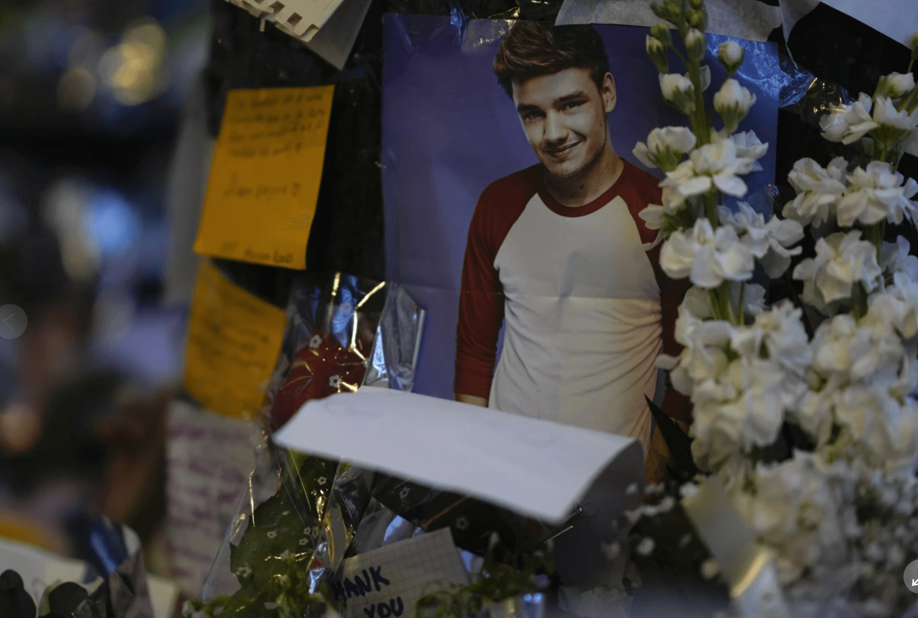 Screenshot 2024-11-08 at 7.51.06 AM.png