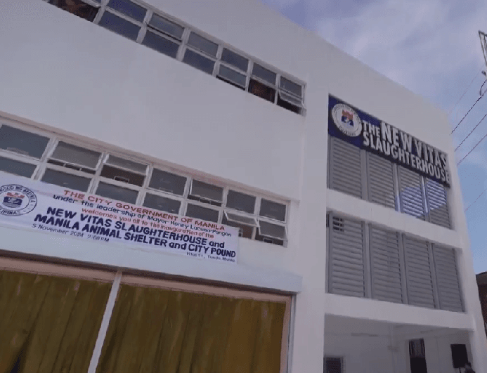 Screenshot 2024-11-10 202411.png