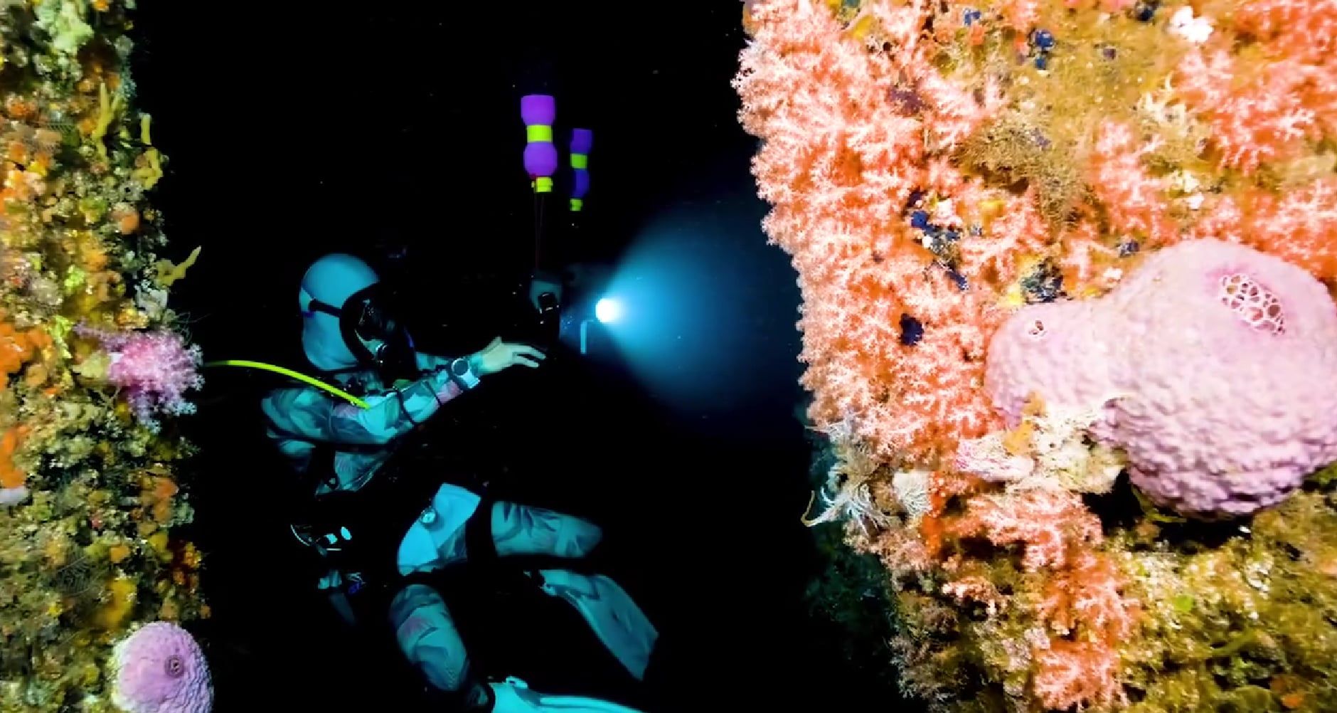 Scuba diving in Camiguin.jpg