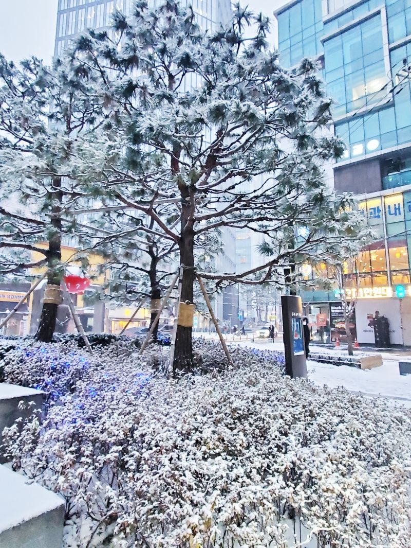 Seoul_winter12.jpg