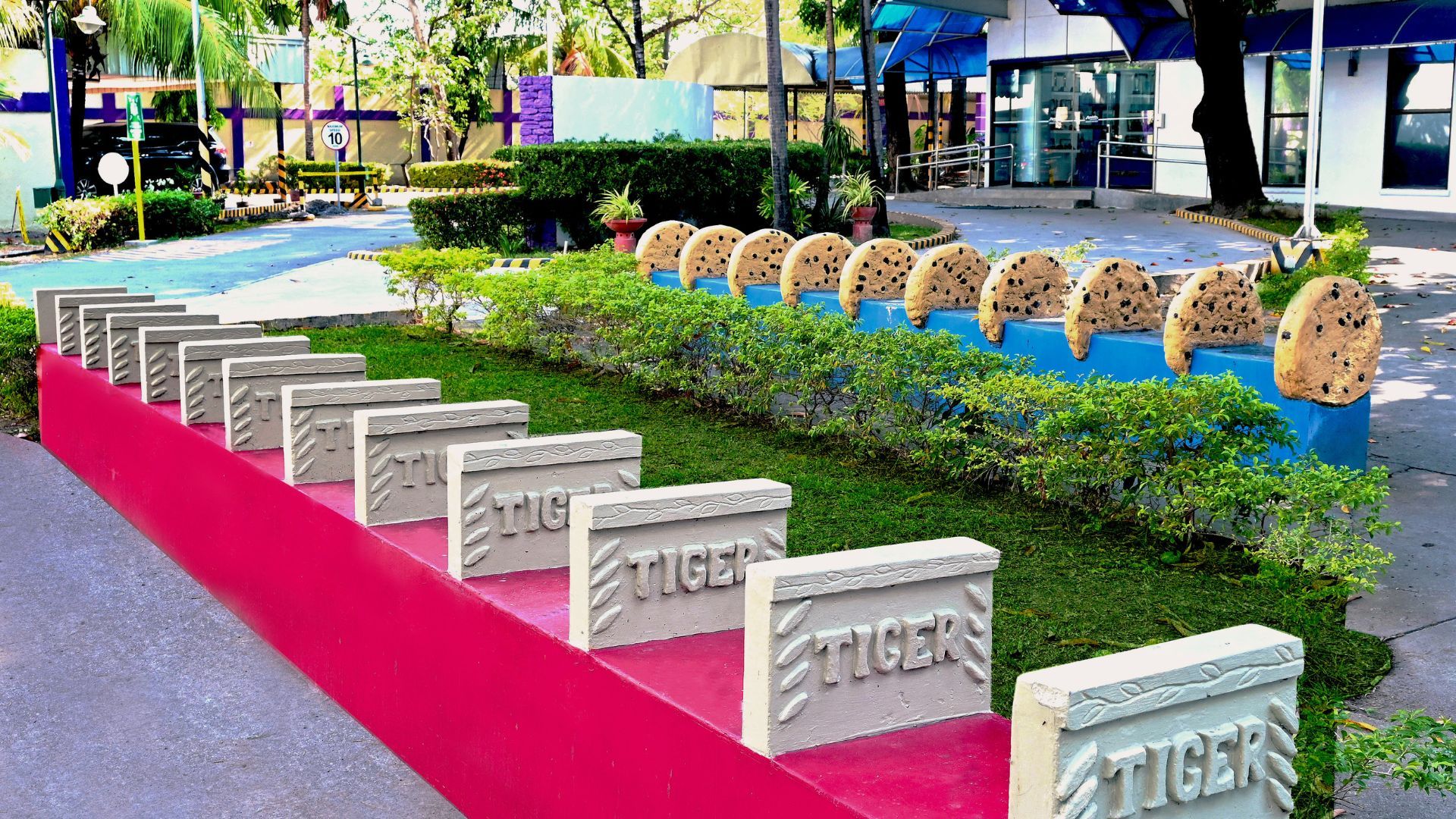 Strapi Format (17).jpg