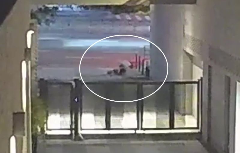 Suga-Aug62024 (4).jpg