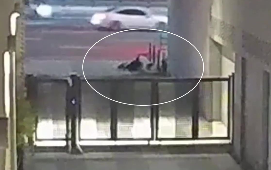 Suga-Aug62024 (5).jpg