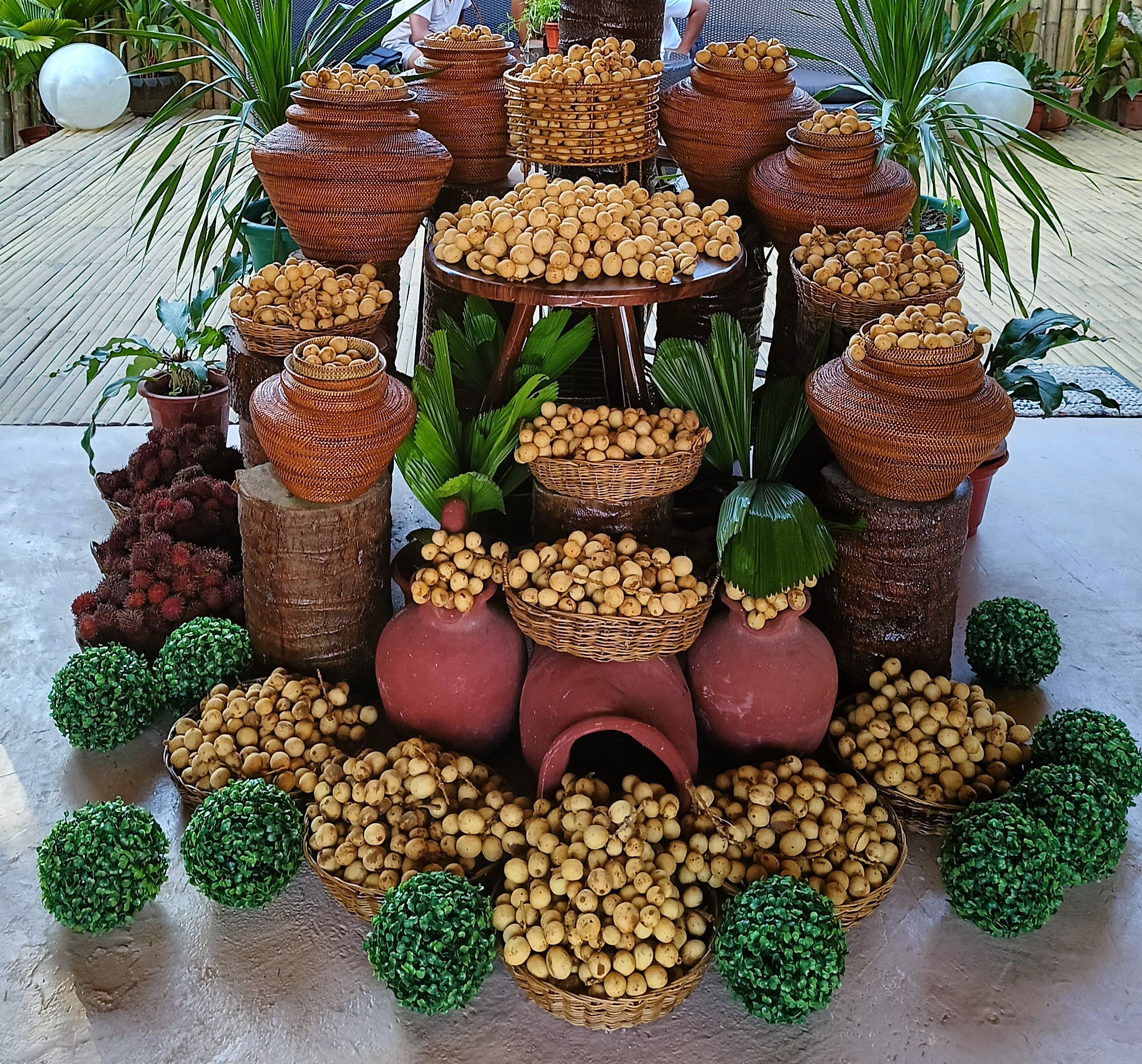 Sweet-tasting Camiguin Lanzones.jpg