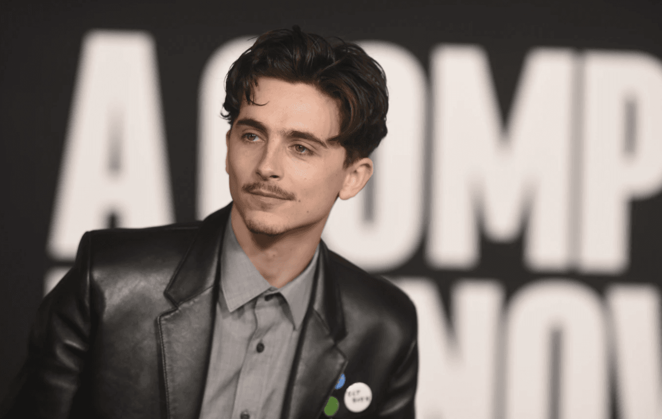 Timothee Chalamet .png