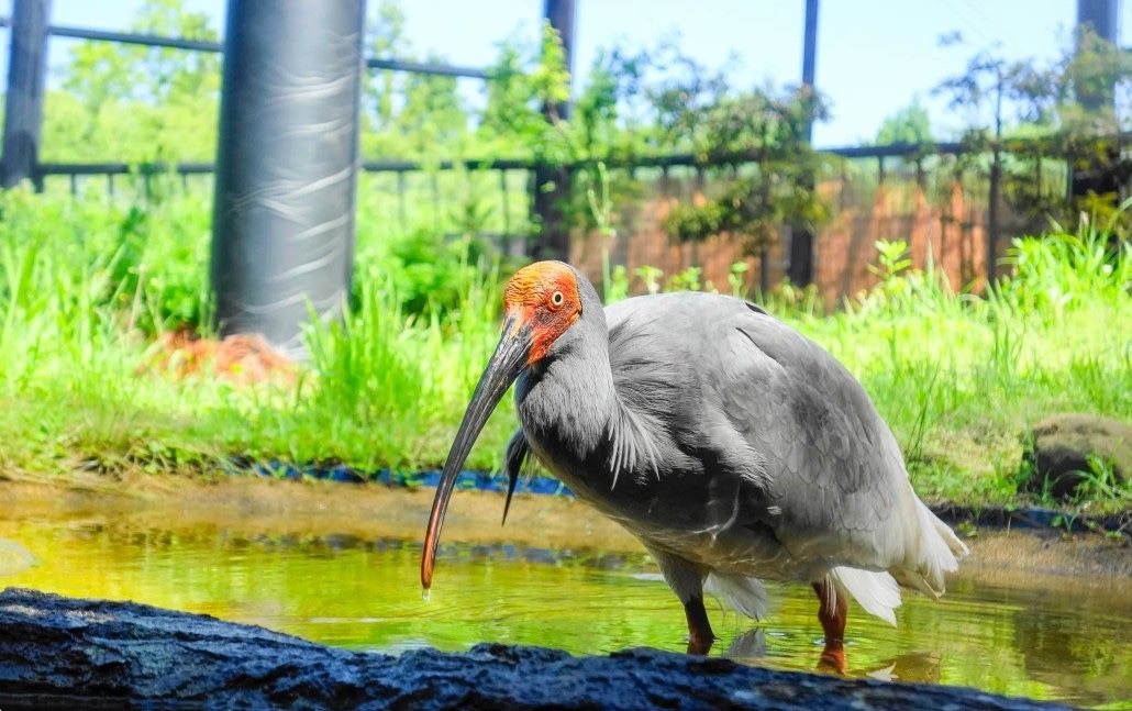 Toki no Mori Park.jpg
