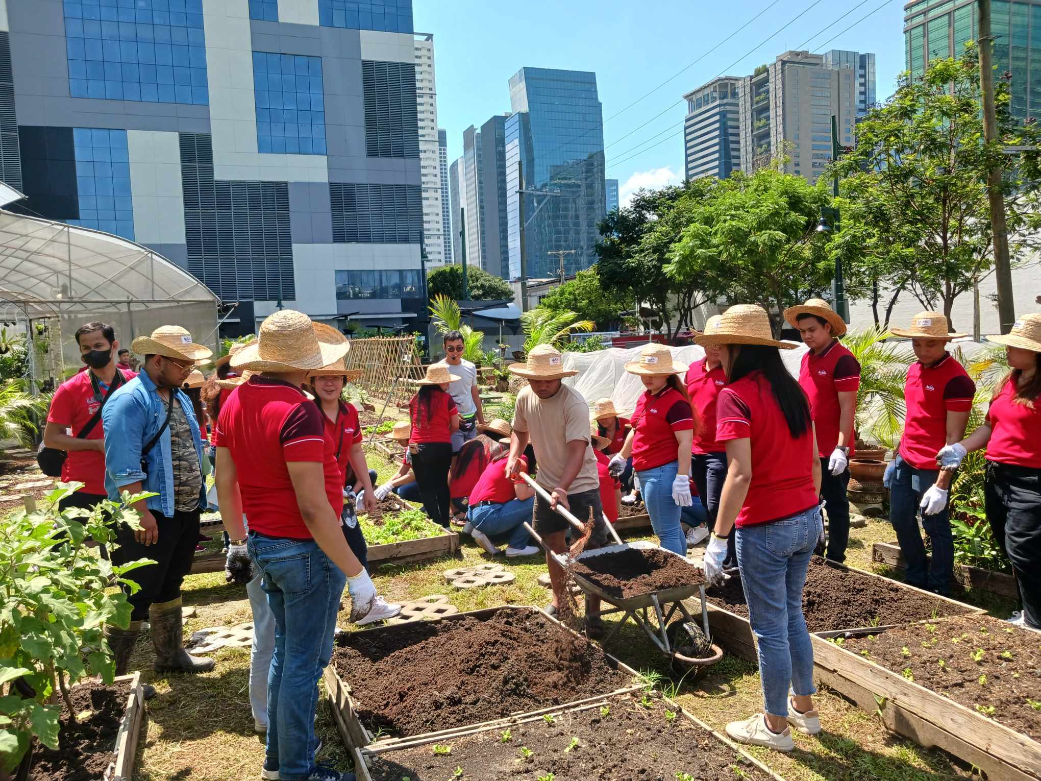 Volunteers get to experience farming in the city in this BGC Community Farm.jpg