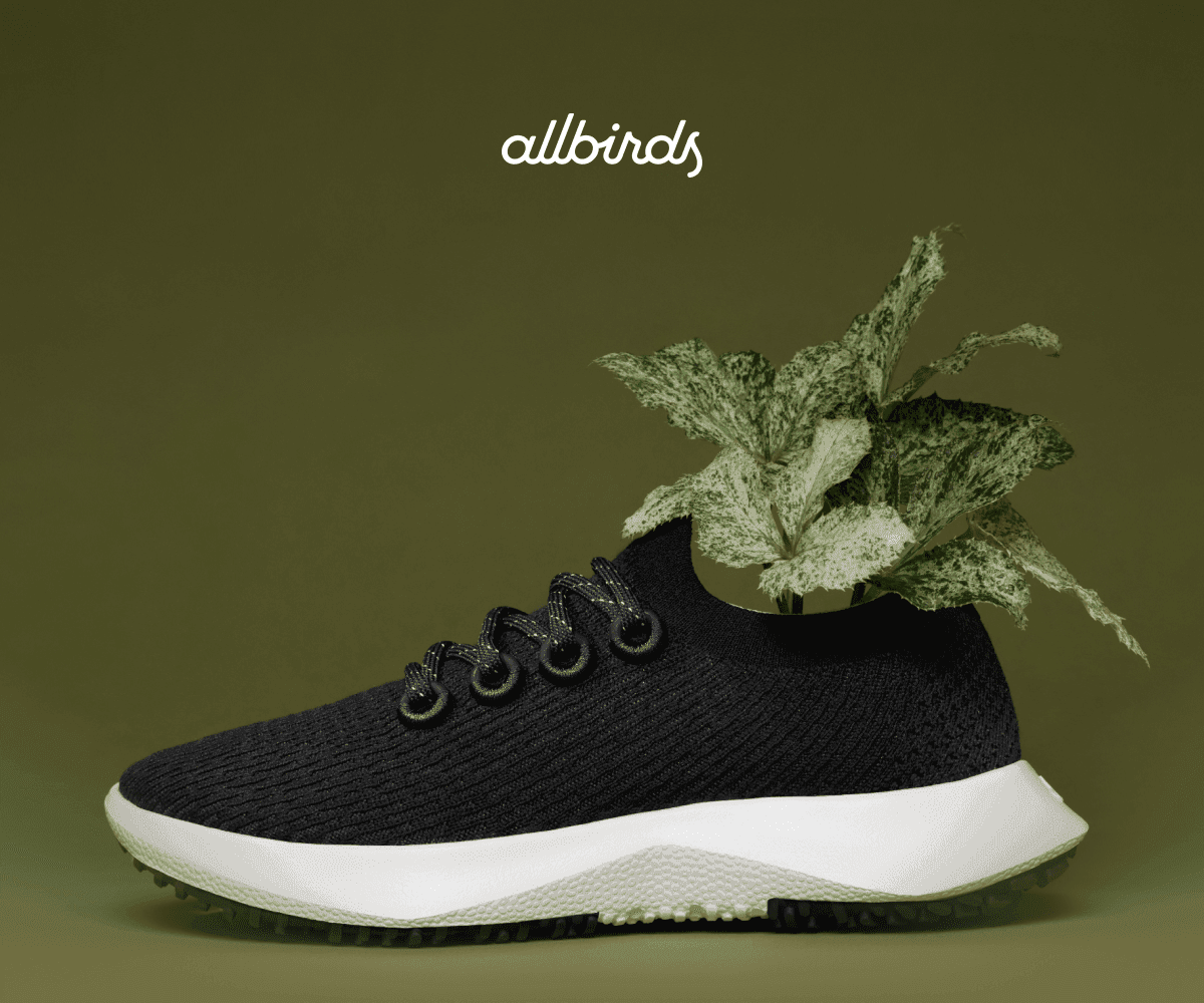 allbirds 2.png
