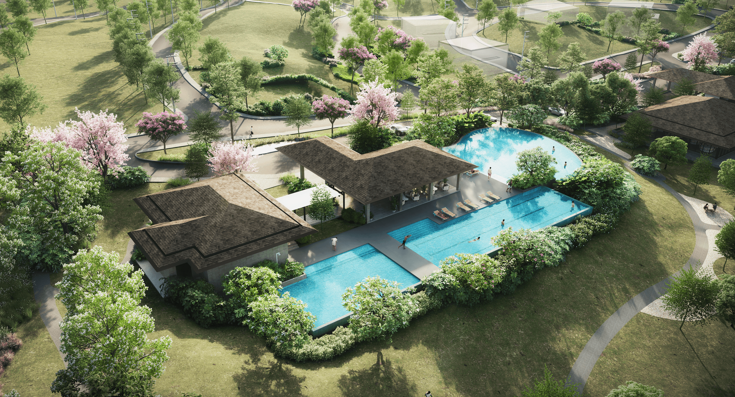 alveo sereneo small.png