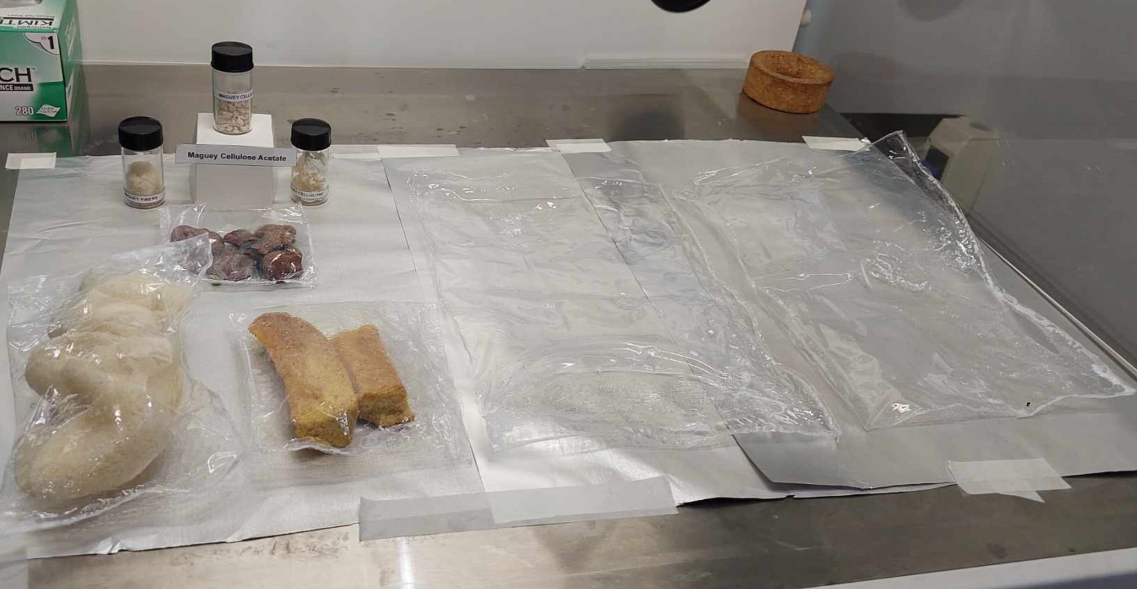 bioplastic prototype.jpg