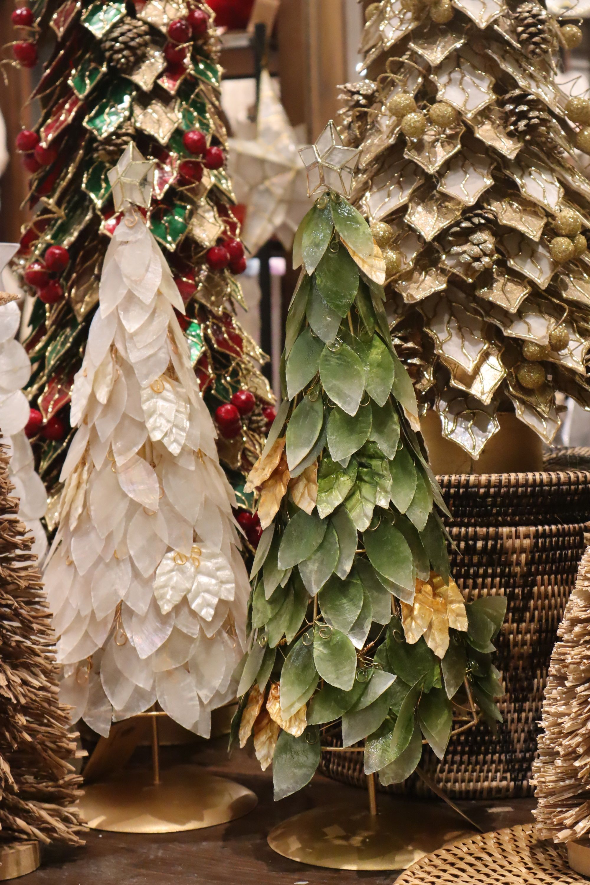 capiz cone trees .JPG