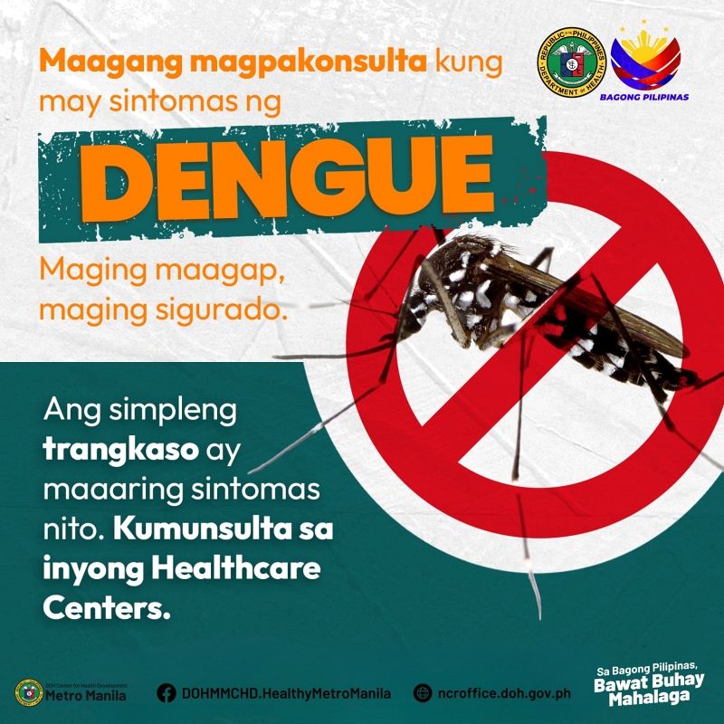 dengue1.jpg
