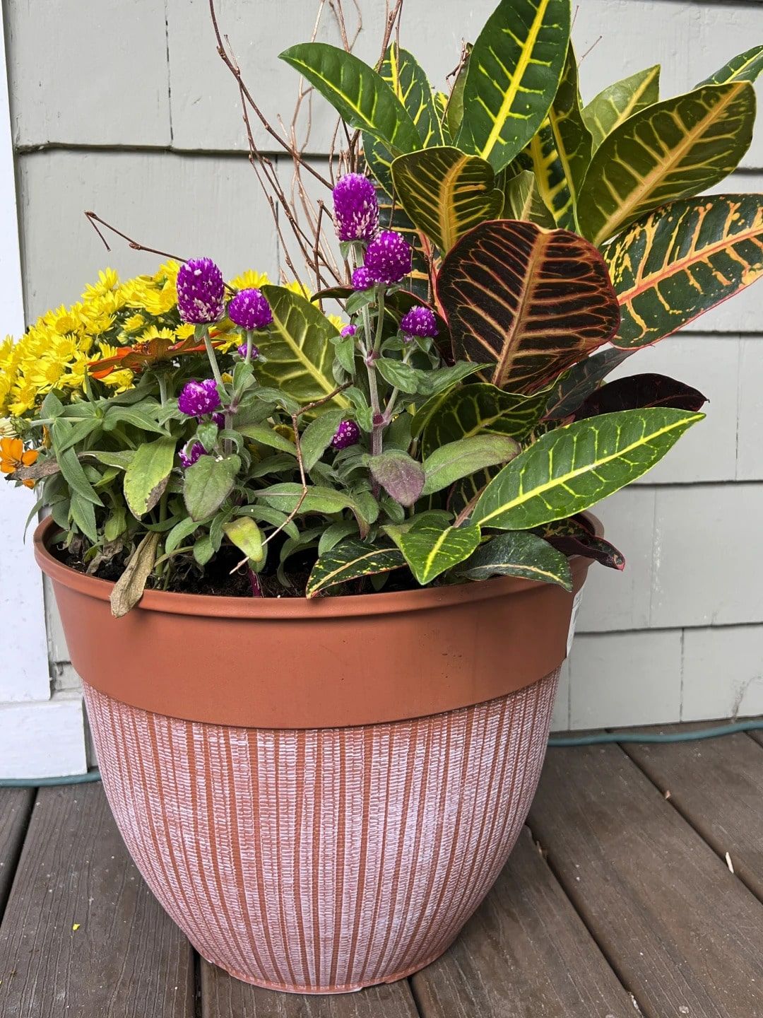 download (1)-min.jpg