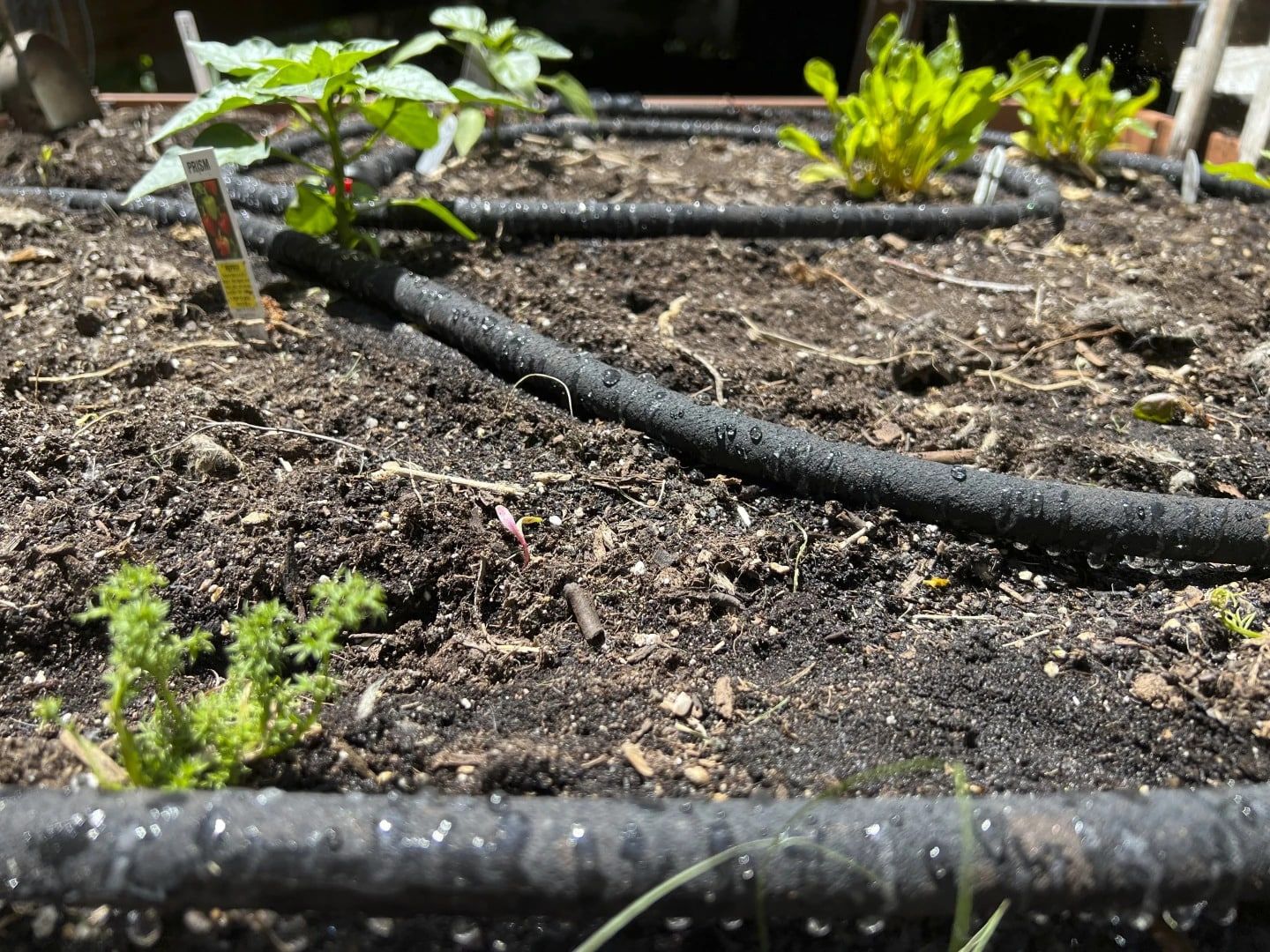 download (2)-min.jpg