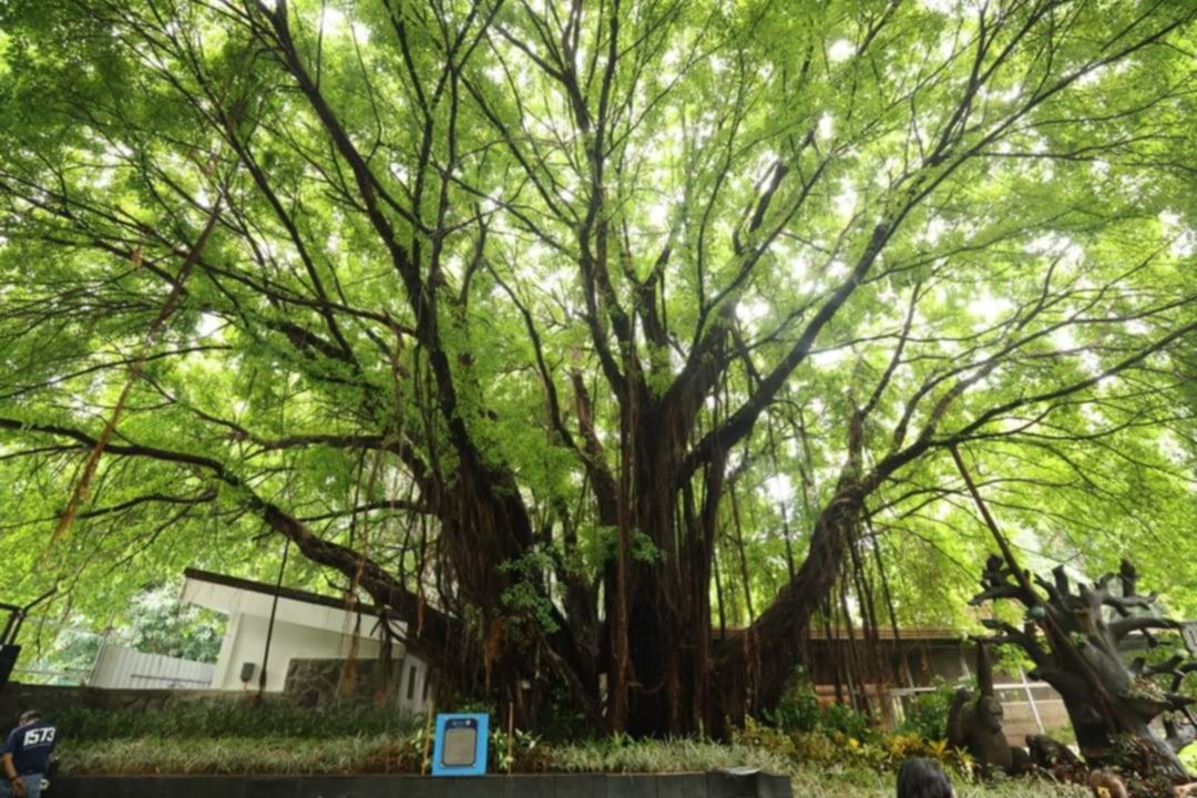 ec0f2ec4-d4c0-4e66-938b-f77f6263fdcc.jfif