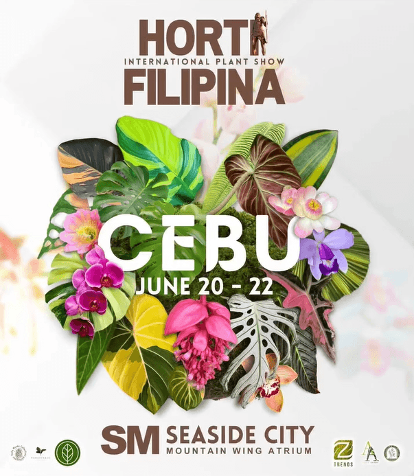 horti filipina.png