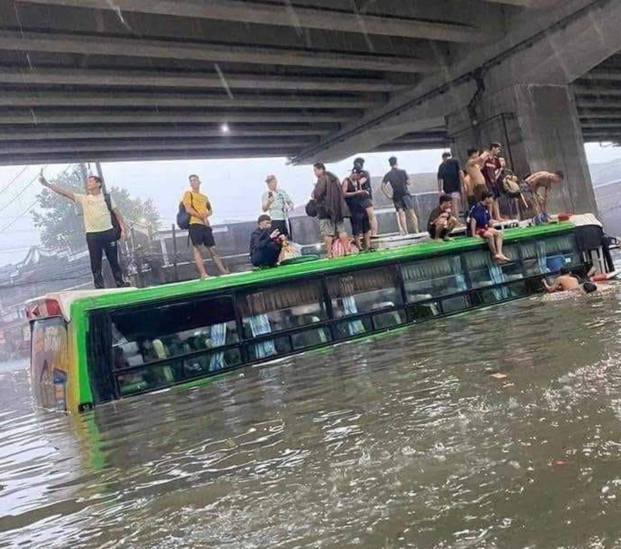 image1 - 2024-08-17T164152.166.jpeg