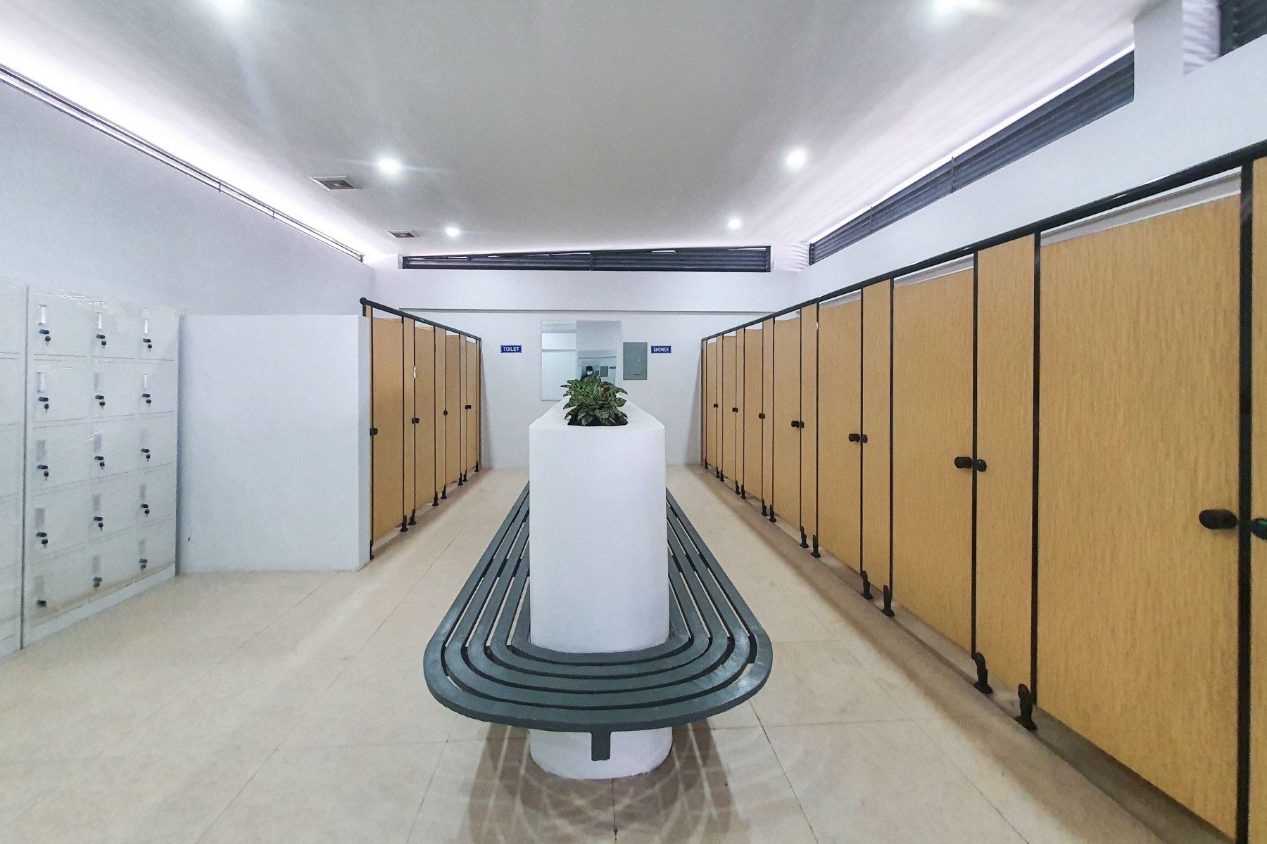 image_6487327 (8).JPG