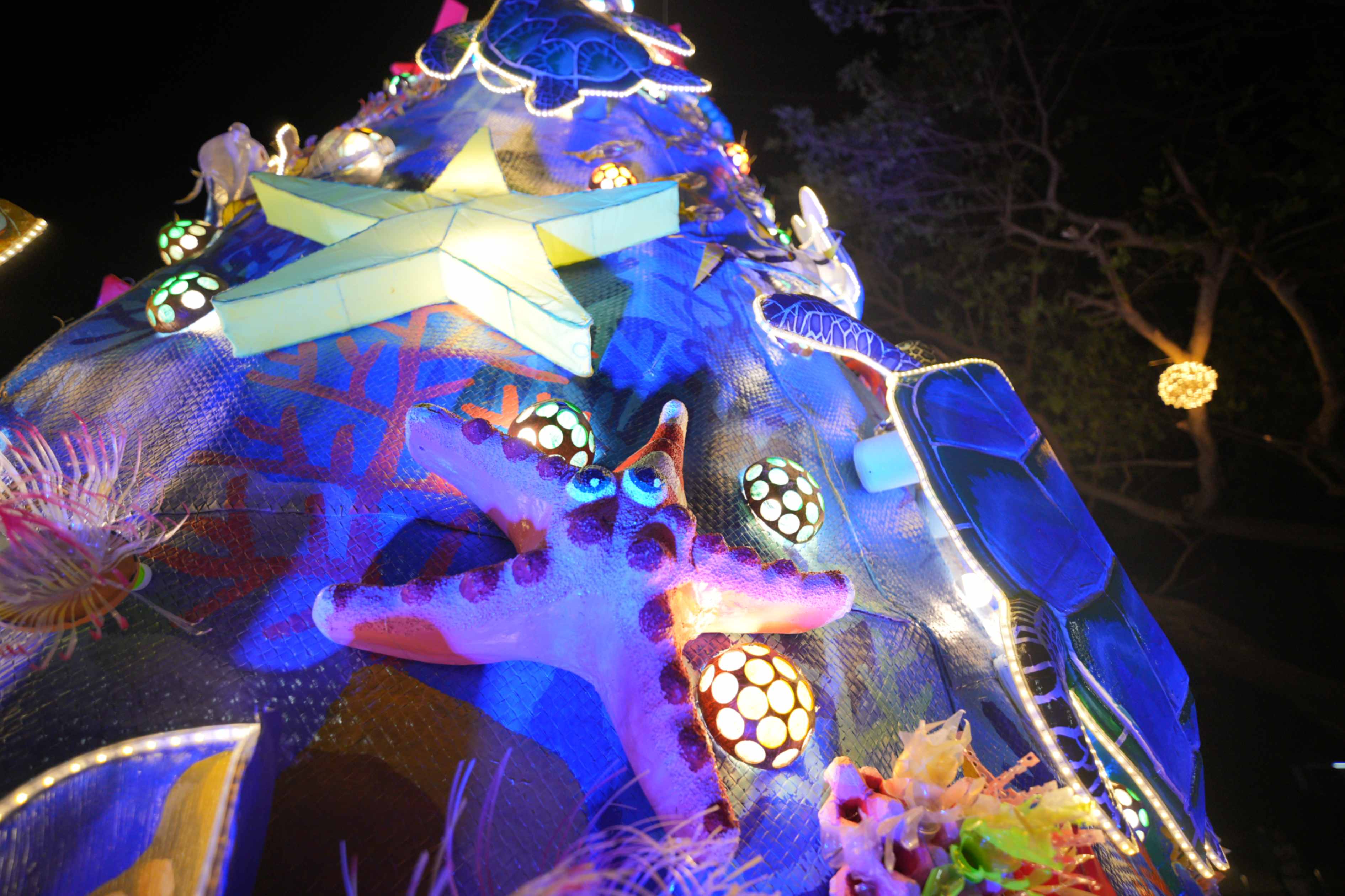 jpeg-optimizer_01 More details from Pico de Loro Cove's Christmas Tree.JPG