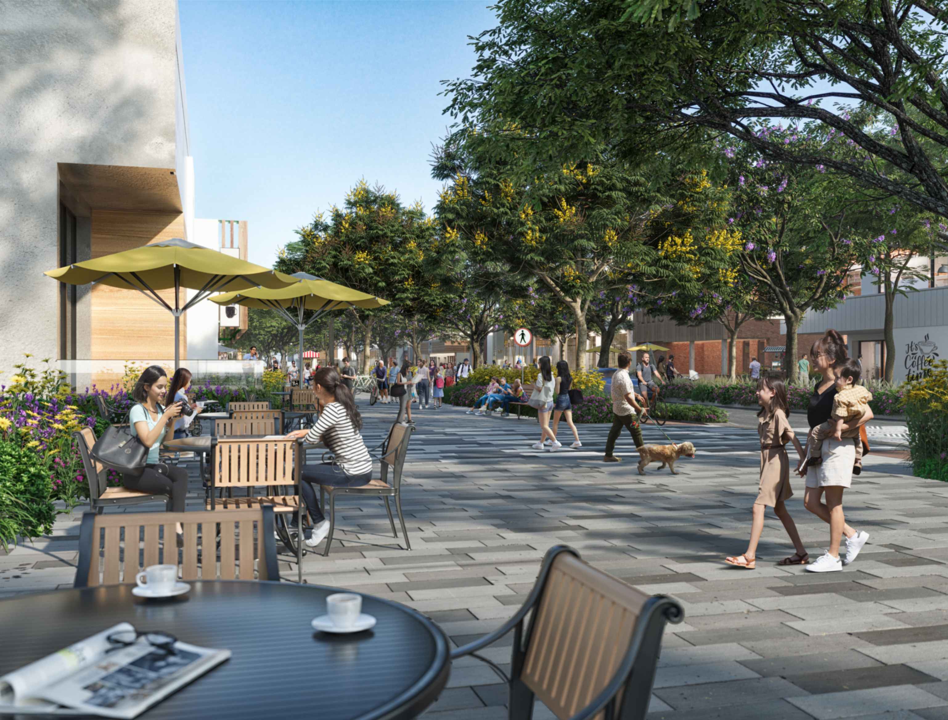 jpeg-optimizer_3 (1).jpg