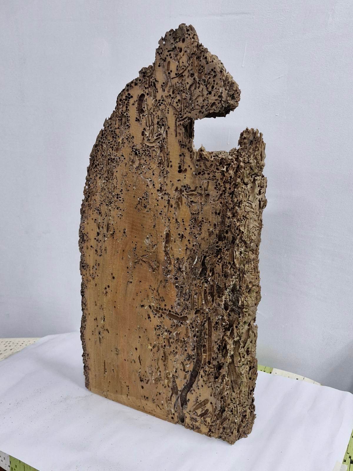 jpeg-optimizer_A piece of a reclaimed wood.jpg