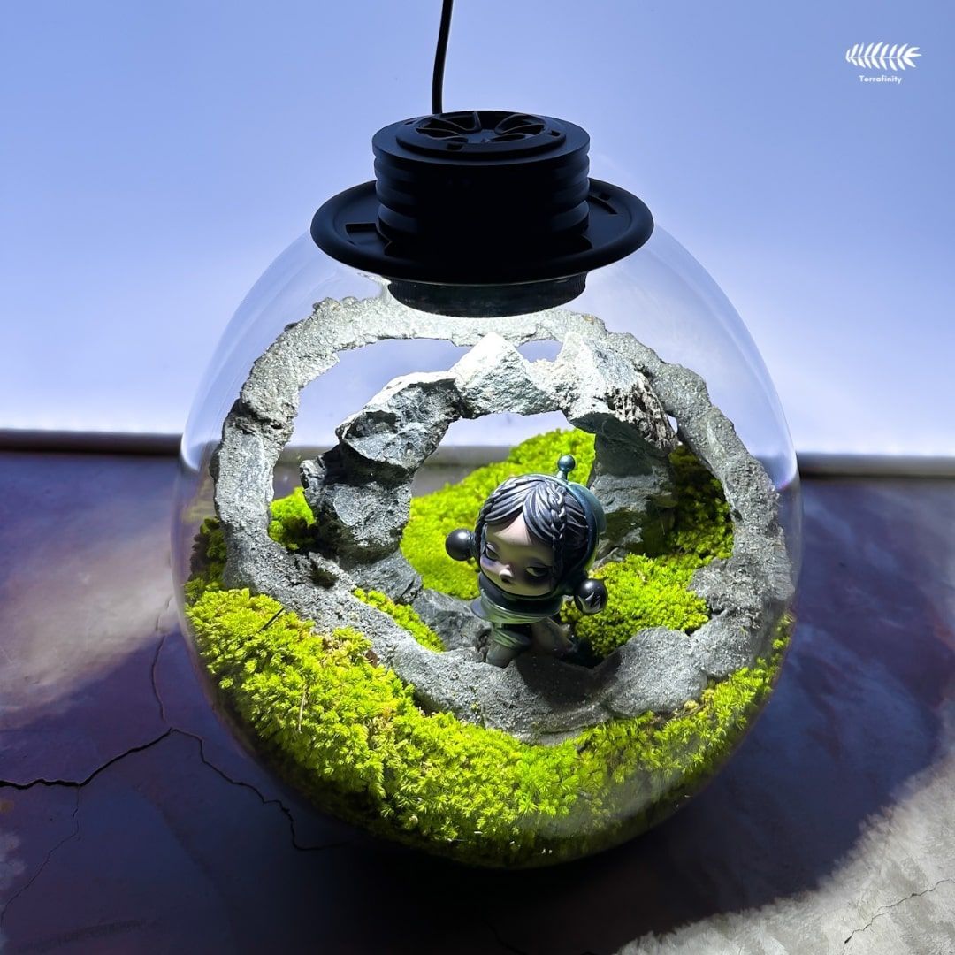 jpeg-optimizer_Copy of Copy of Copy of Copy of Copy of Copy of Copy of BIOLOARK - 9.jpg