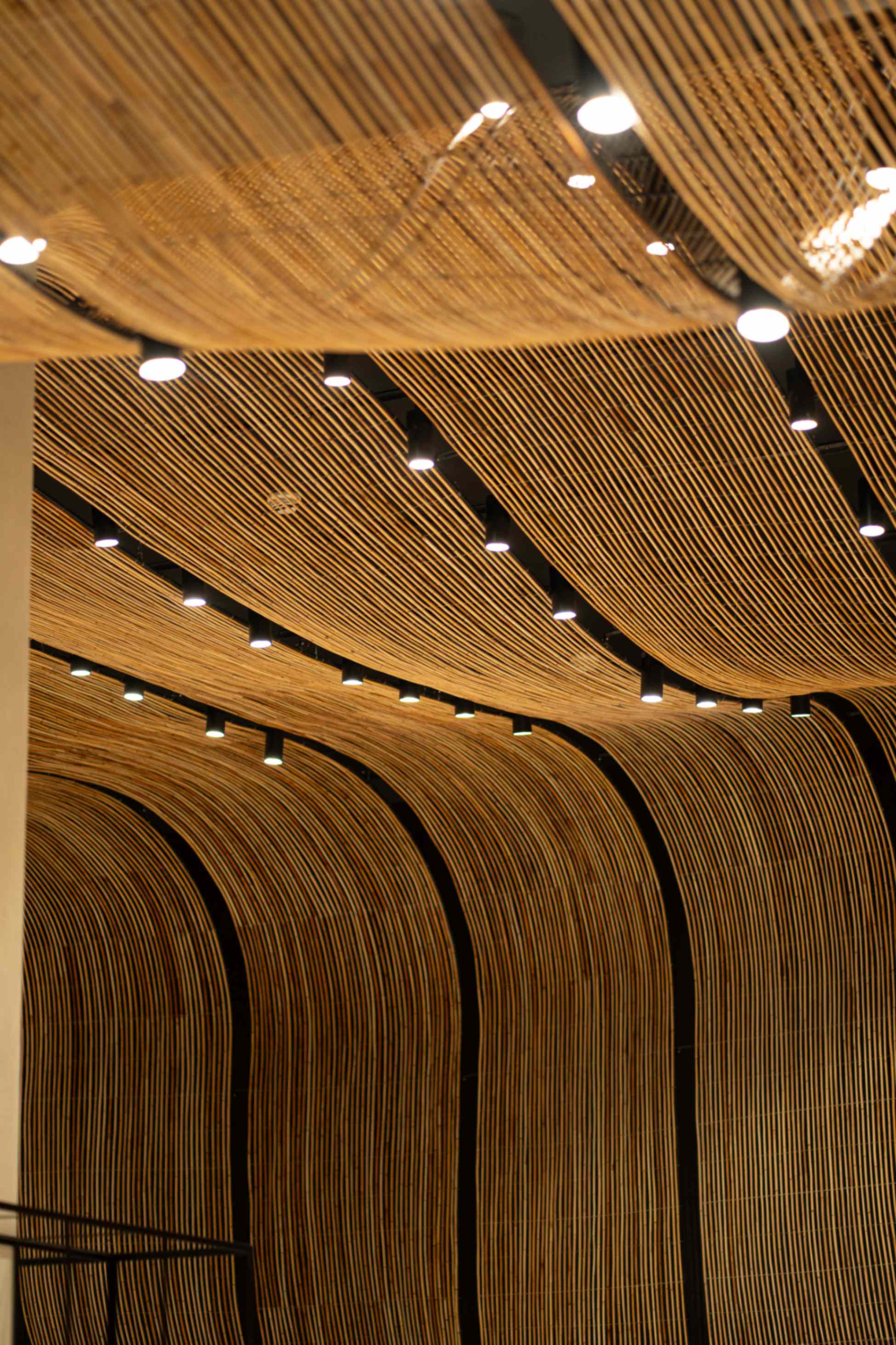 jpeg-optimizer_Copy of unvrs_d1_-157.jpeg