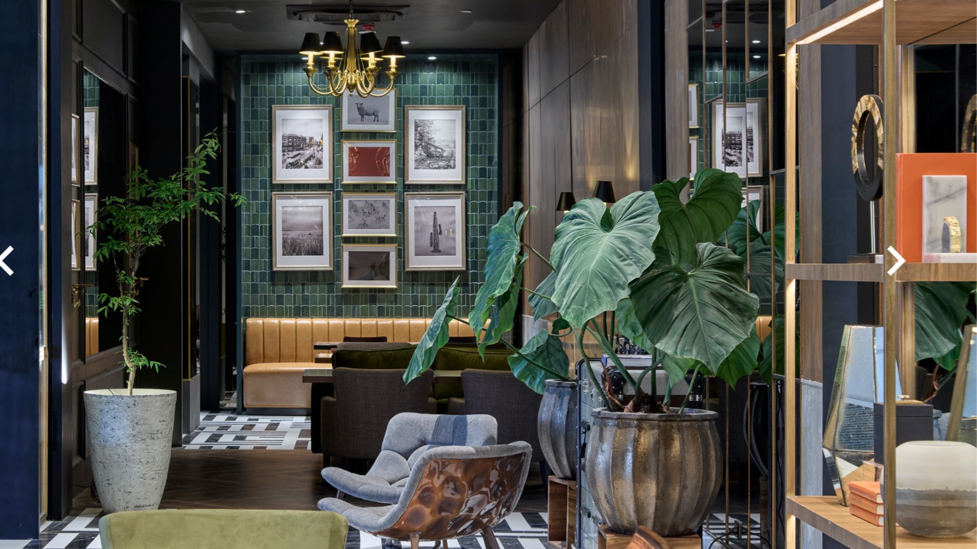 jpeg-optimizer_Cuisine + Salt and Fire Steakhouse.jpg