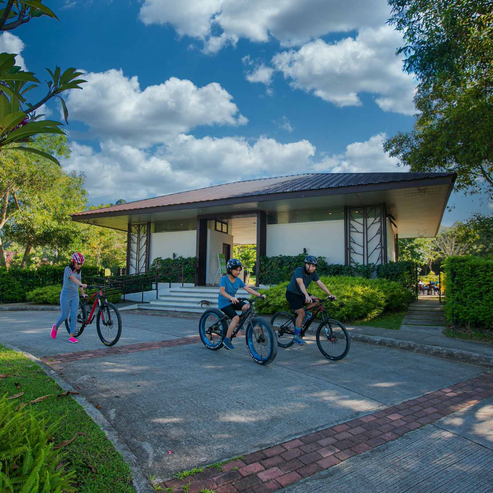 jpeg-optimizer_Familiy Bike.jpg